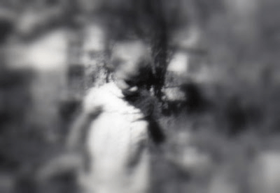 Taking a Stroll in my Sacred Rock Garden