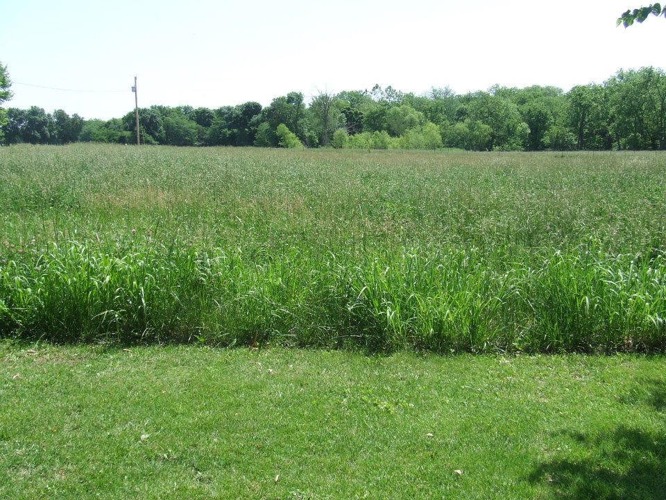 This image has an empty alt attribute; its file name is hay-field.jpg