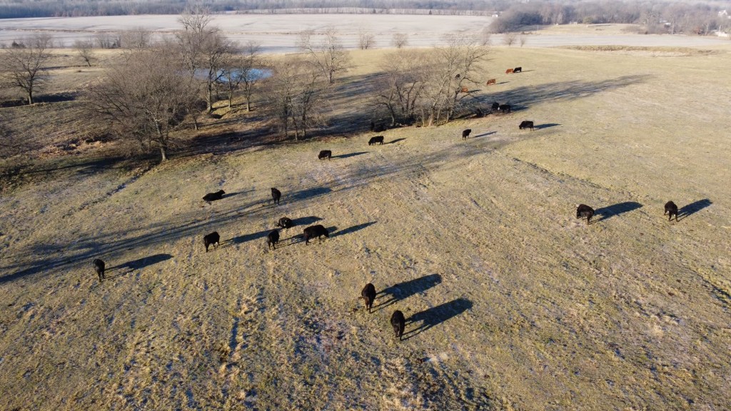 This image has an empty alt attribute; its file name is img_1696-2.jpg