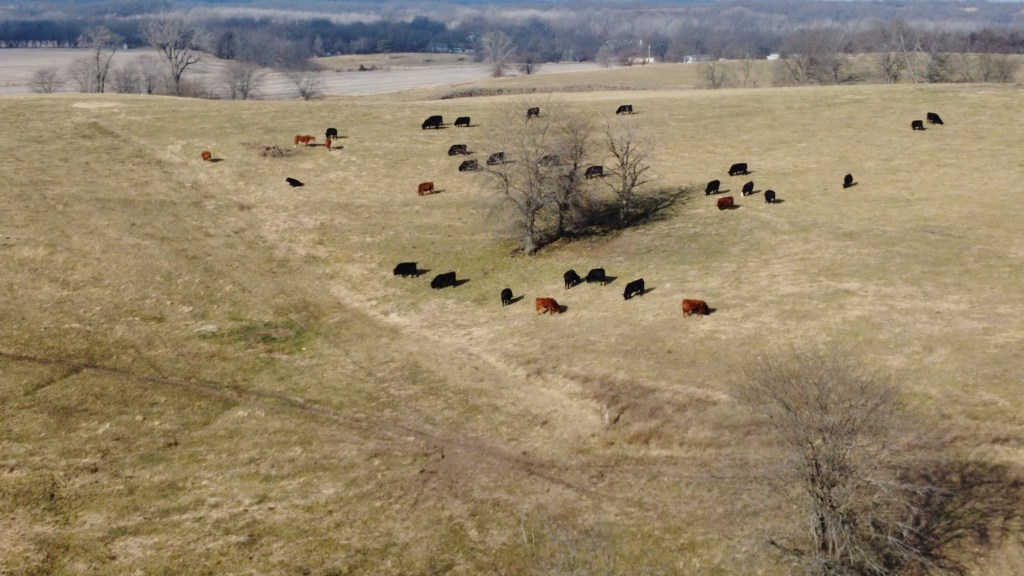 This image has an empty alt attribute; its file name is img_1711.jpg