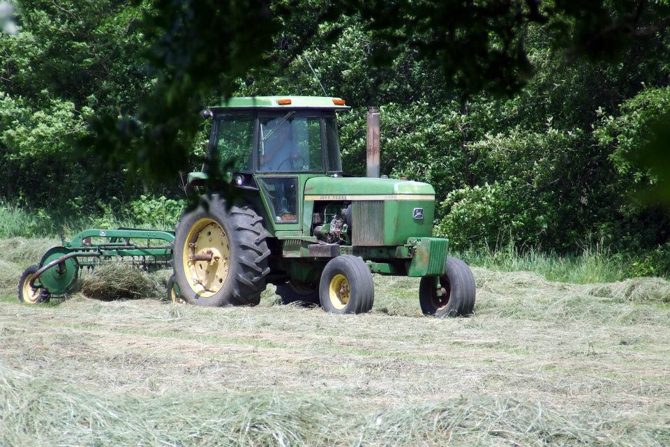 This image has an empty alt attribute; its file name is raking-cut-hay.jpg